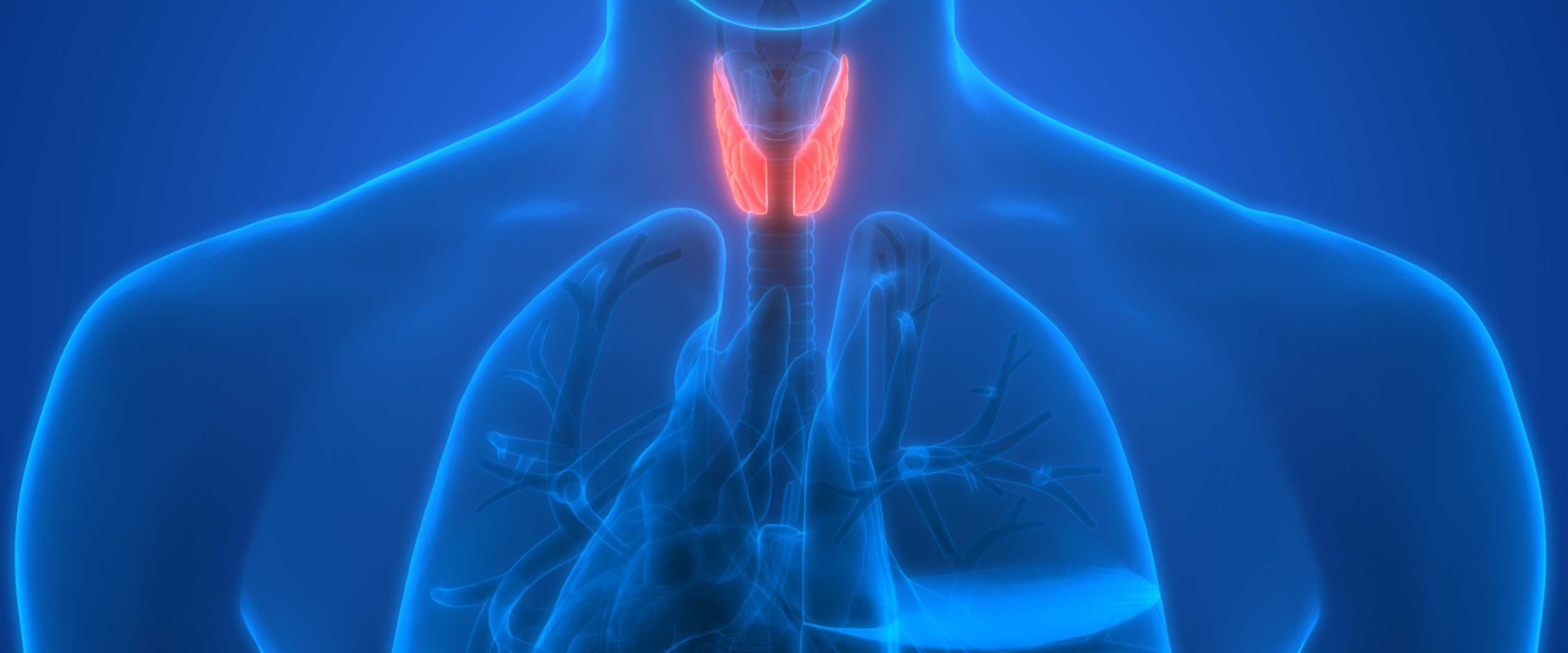 what-is-thyroid-disease-and-how-can-it-be-treated